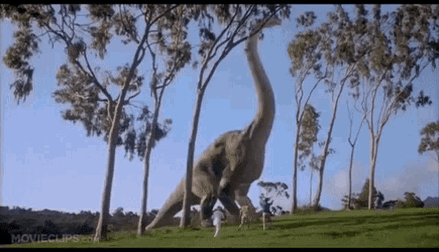 Todos sabemos a imagem dos saurópodes: dinossauros enormes e pescoçudos, que caminham nas 4 patas.
