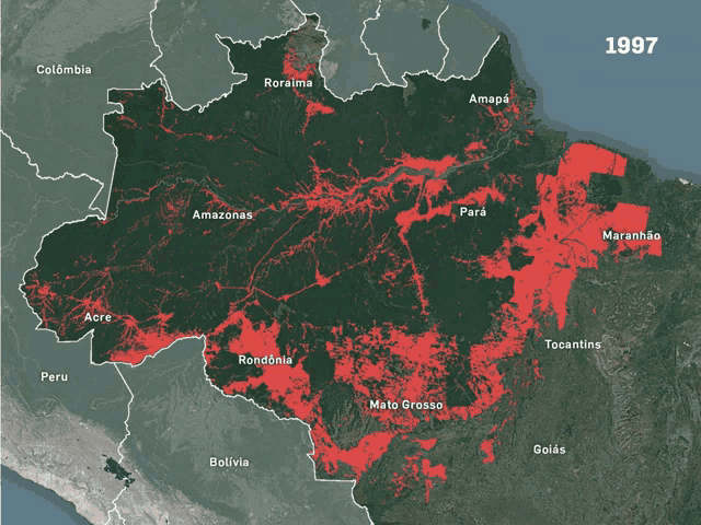 Agora vale pensar: qual é um dos biomas mais desmatados no Brasil? <i>A Amazônia.</i>