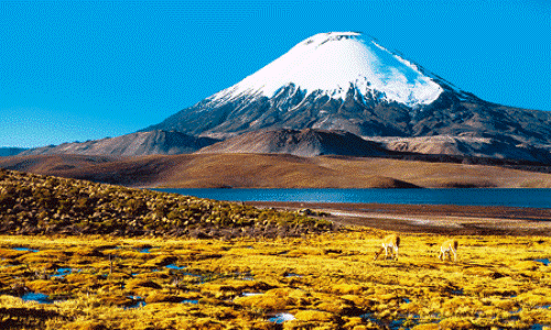 <i>Patagônia</i> | Maior da América do Sul, abrange a Argentina e é outro exemplo de deserto gerado por sistemas atmosféricos.