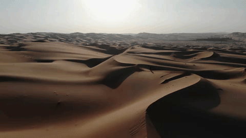 Desertos são regiões com poucas condições para a vida: são áridos, têm pouca chuva e poucos recursos 