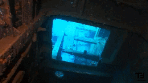 Os desertos podem ser de vários tipos, de dunas áridas até gelados ou cobertos de plantas. Vamos conhecer alguns?