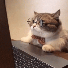 Pesquisar sempre é essencial