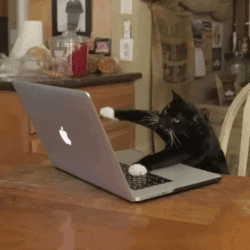 Streaming é com a gente mesmo.