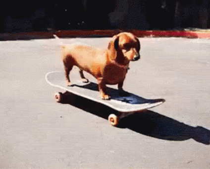 Cactus Sports Park (Iguatemi Bosque)
