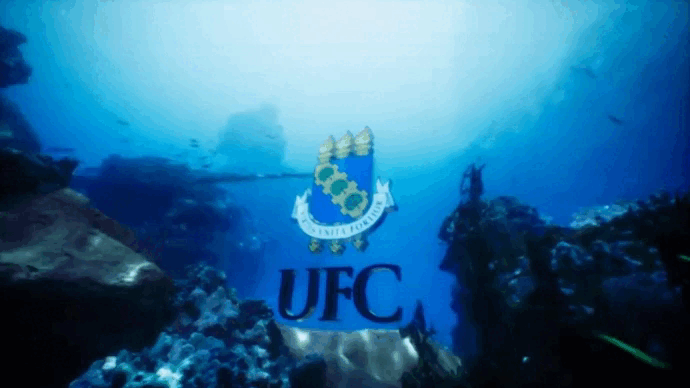 Gif do aquário virtual criado pelo Laboratório de Visualizações Interativas e Simulações (Labvis) da UFC(Foto: Labvis/UFC)