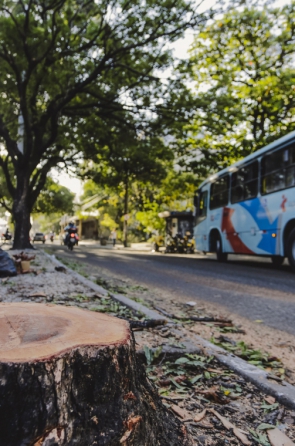 Motoristas receberão orientações para obter descontos de até 40% em p...