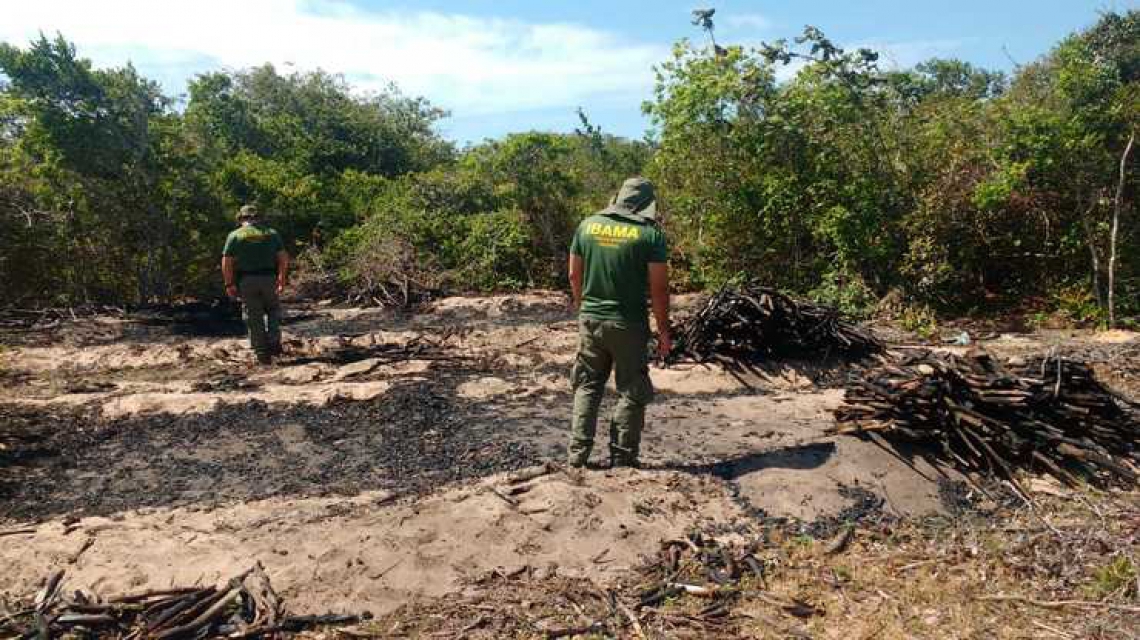 Em 2018, operação Mata Atlântica constatou desmatamento de 282,56 hectares no Ceará e realizou oito autuações
