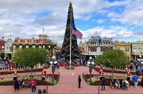 Magic Kingdom