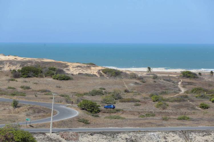 Característica da vegetação remanescente no litoral próximo a Fortaleza. (Foto Julio Caesar/O POVO)