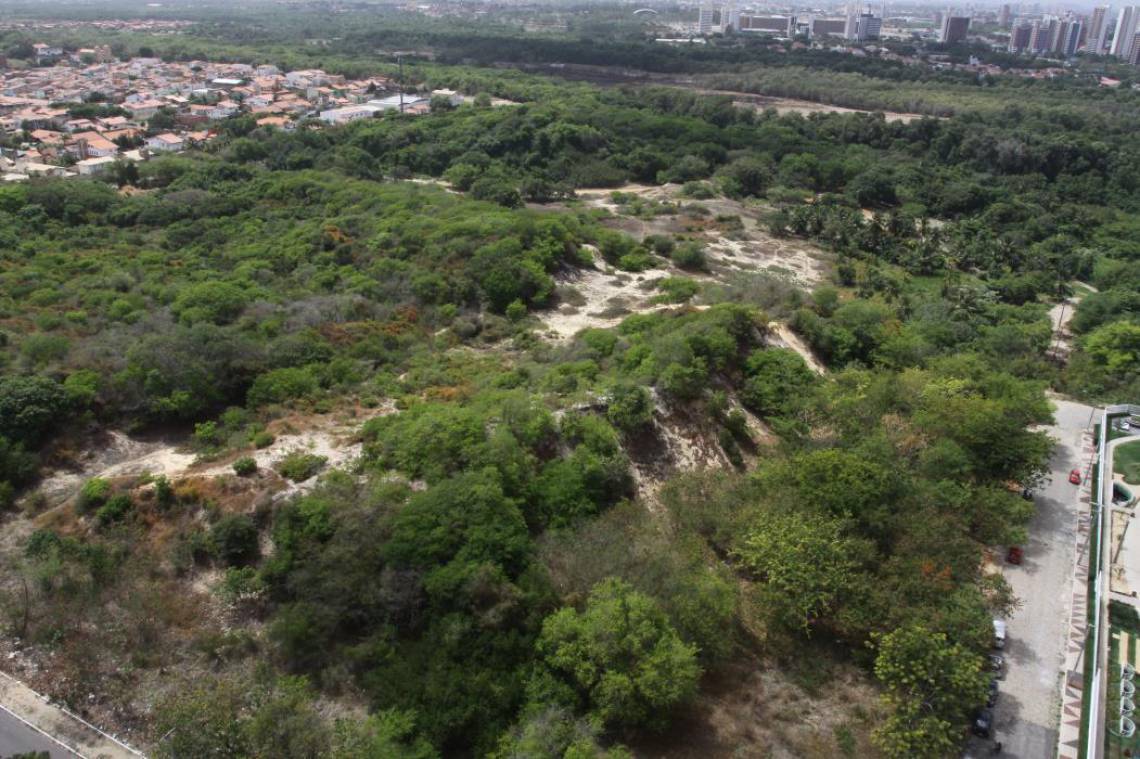 Vista aérea da Área de Relevante Interesse Ecológico (Arie) no Cocó(Foto: Mauri Melo)