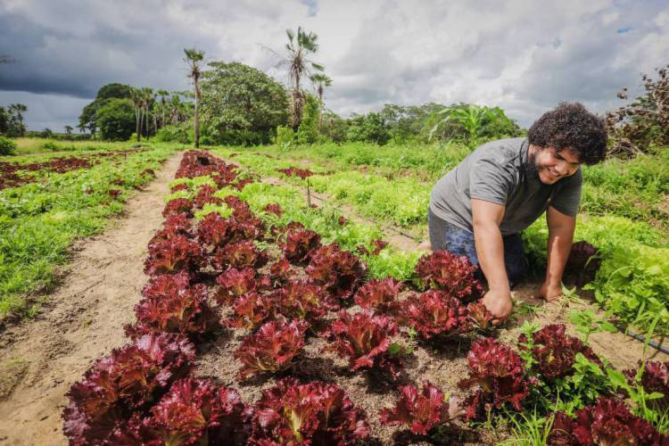 Victor Vasconcelos. Projeto da primeira cooperativa de jovens de São Gonçalo do Amarante, inserida na Rede de Agricultores Muda meu Mundo(Foto: MATEUS DANTAS 4-2-2019)