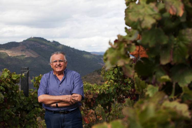 João Carlos Paes Mendonça acompanha, de Gravatá, os prêmios de seus vinhos em Portugal (Foto: divulgação)