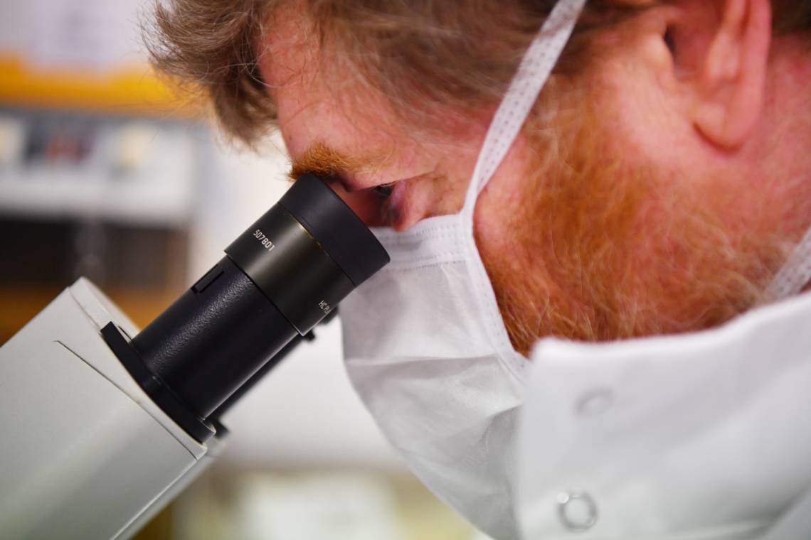O Diretor Científico Dr. Jeff Drew, usa um microscópio para examinar células que contêm o novo coronavírus SARS-CoV-2 no laboratório Stabilitech em Burgess Hill(Foto: BEN STANSALL / AFP)