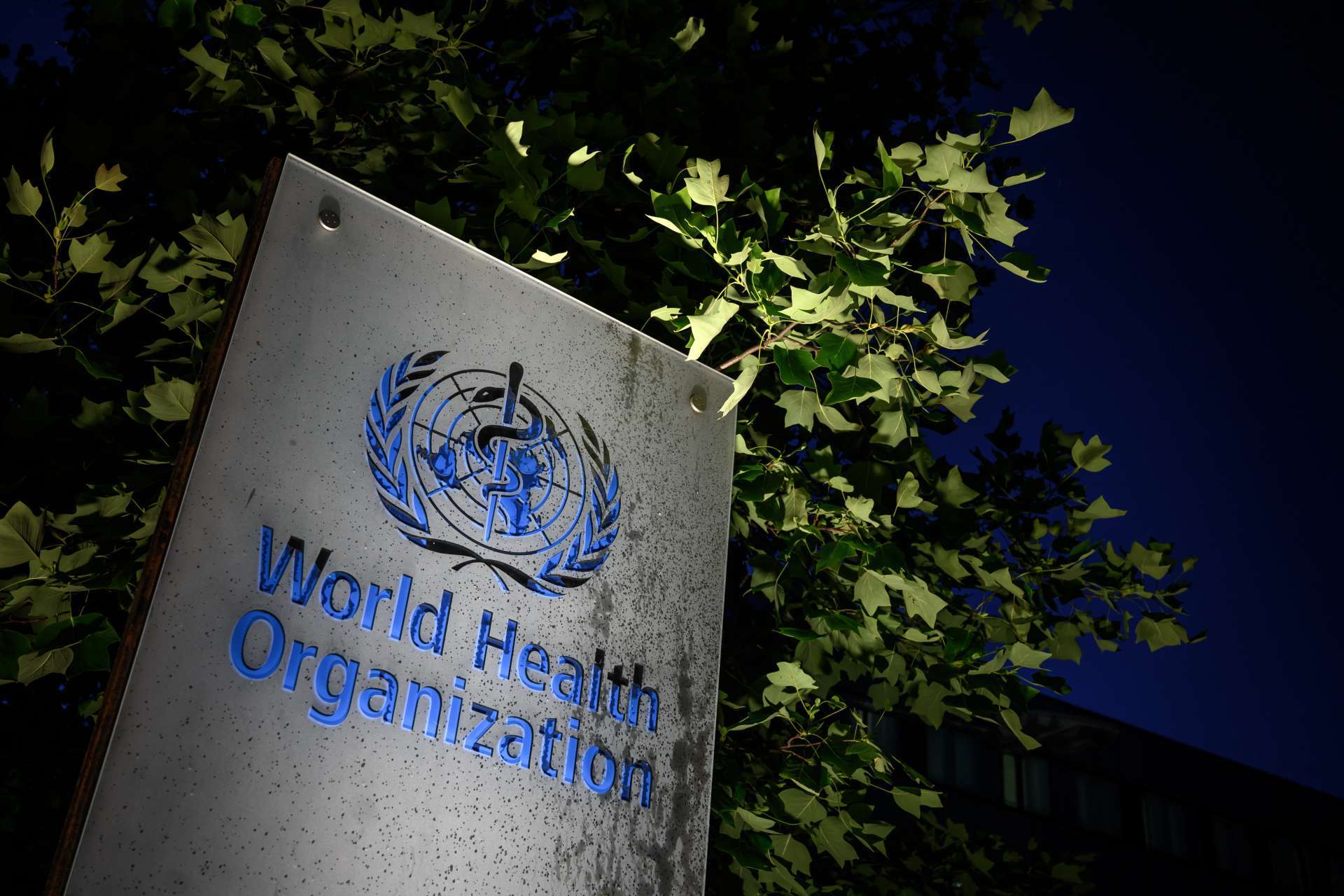 ORGANIZAÇÃO Mundial da Saúde divulgou ontem o estudo (Foto: Fabrice COFFRINI / AFP)
