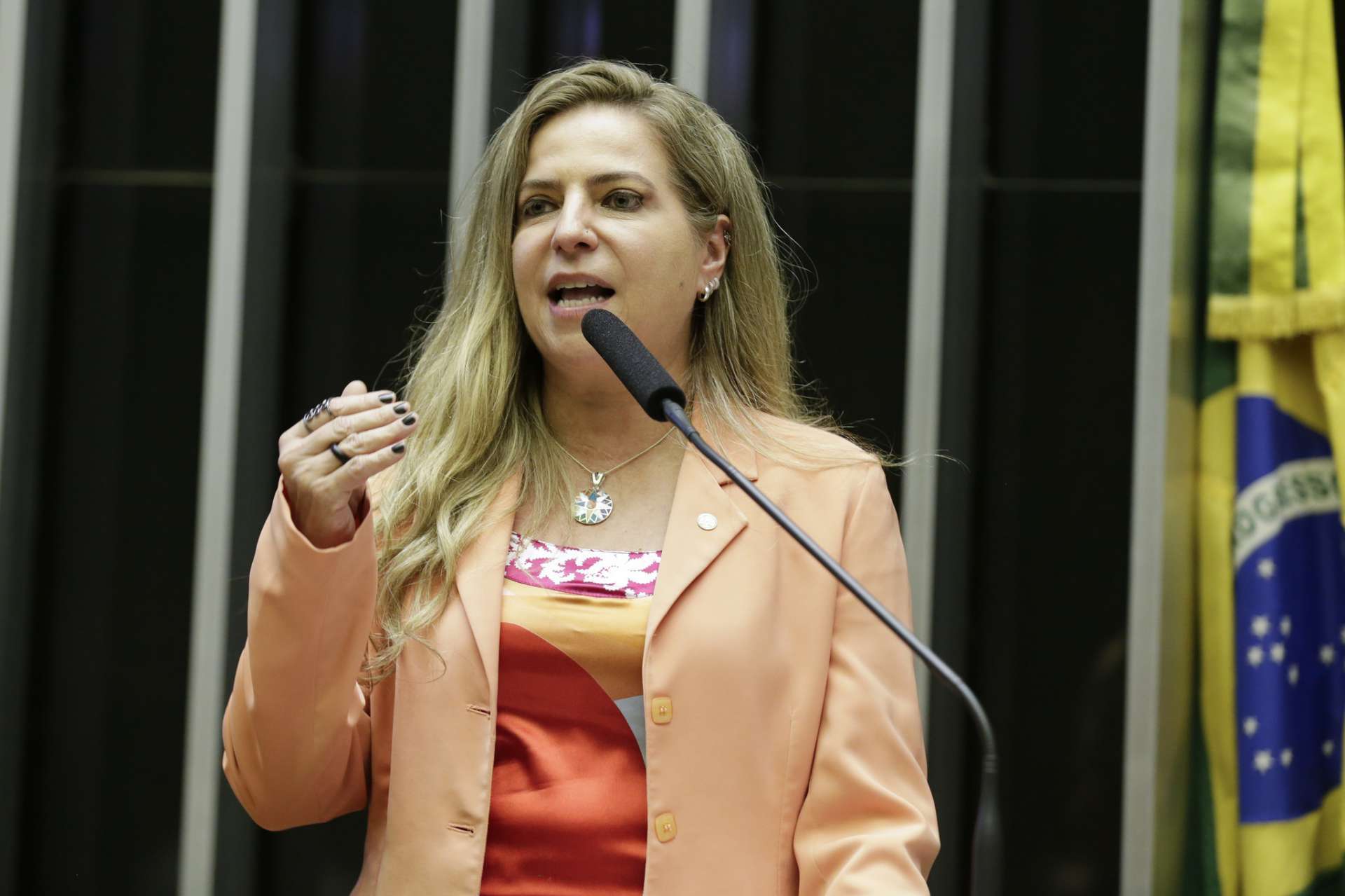Luizanne Lins, deputada federal e pré-candidata do PT a prefeita de Fortaleza (Foto: Divulgação)