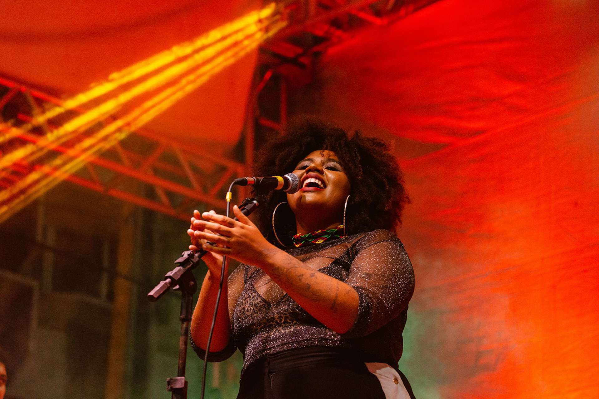 Luiza Nobel apresenta o projeto 