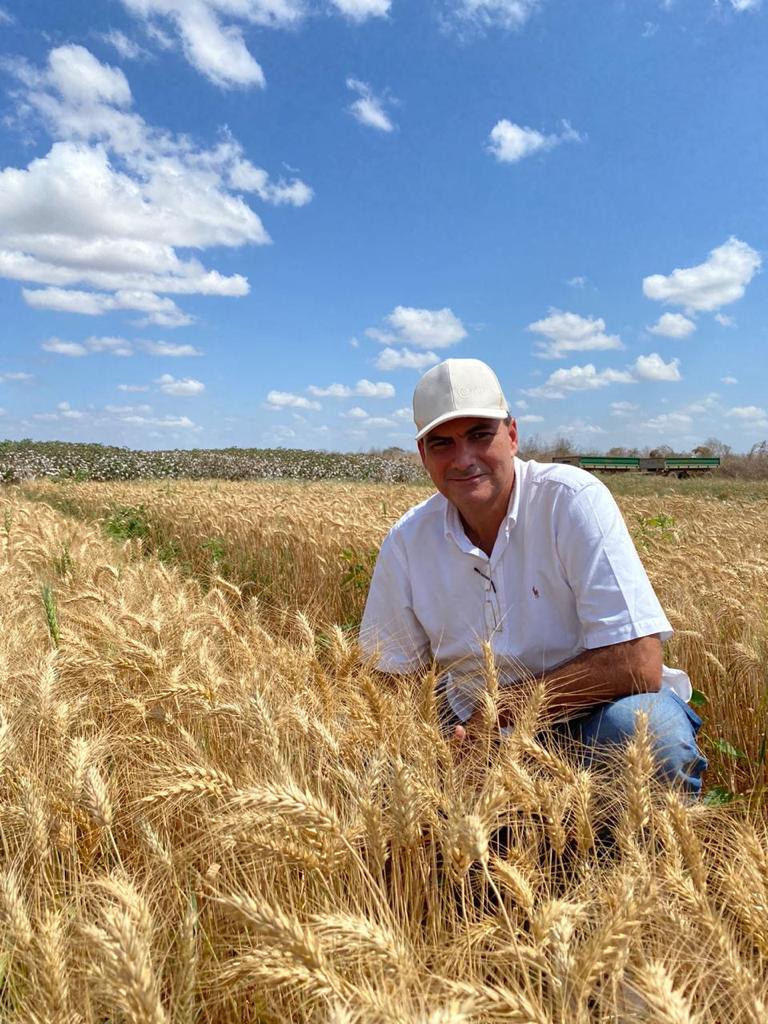 Alexandre Sales comemora o resultado da colheita de trigo em Limoeiro do Norte (CE): produção será para consumo da indústria dele (Foto: DIVULGAÇÃO)
