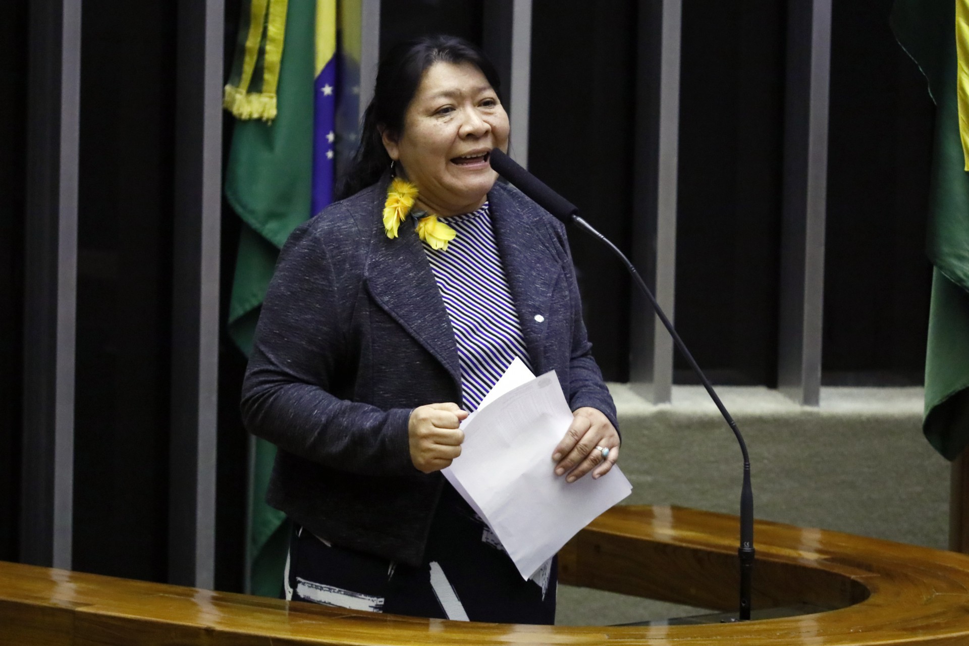 Joenia Wapichana (Rede) foi eleita deputada federal pelo estado de Roraima