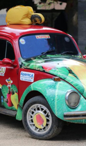Um tipo novo de fusca 