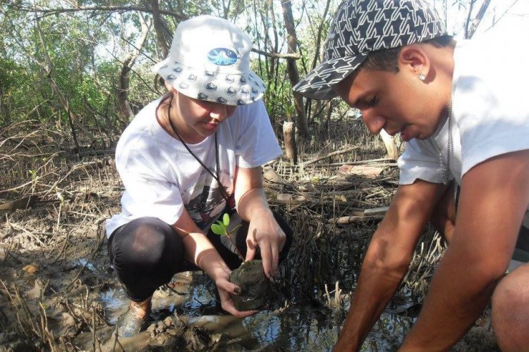 Rafaela Camargo monitora flora do manguezal e organismos que vivem no substrato de ambientes aquáticos (bentônicos)(Foto: ACERVO PESSOAL)