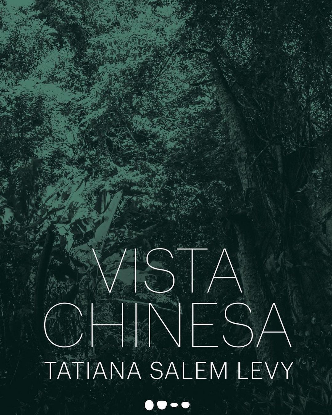 Livro Vista Chinesa, de Tatiana Salem Levy (Foto: Divulgação )