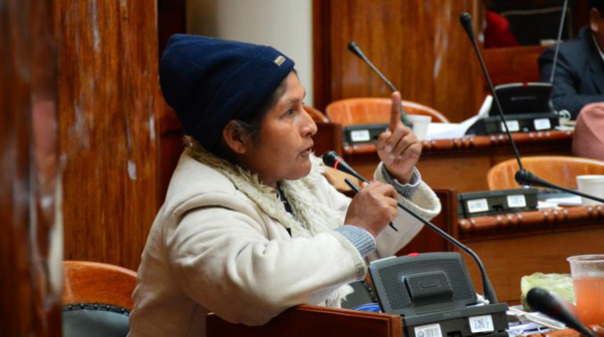 A deputada Juana Quispe, na Câmara dos Deputados boliavana.(Foto: Cámara de Diputados)