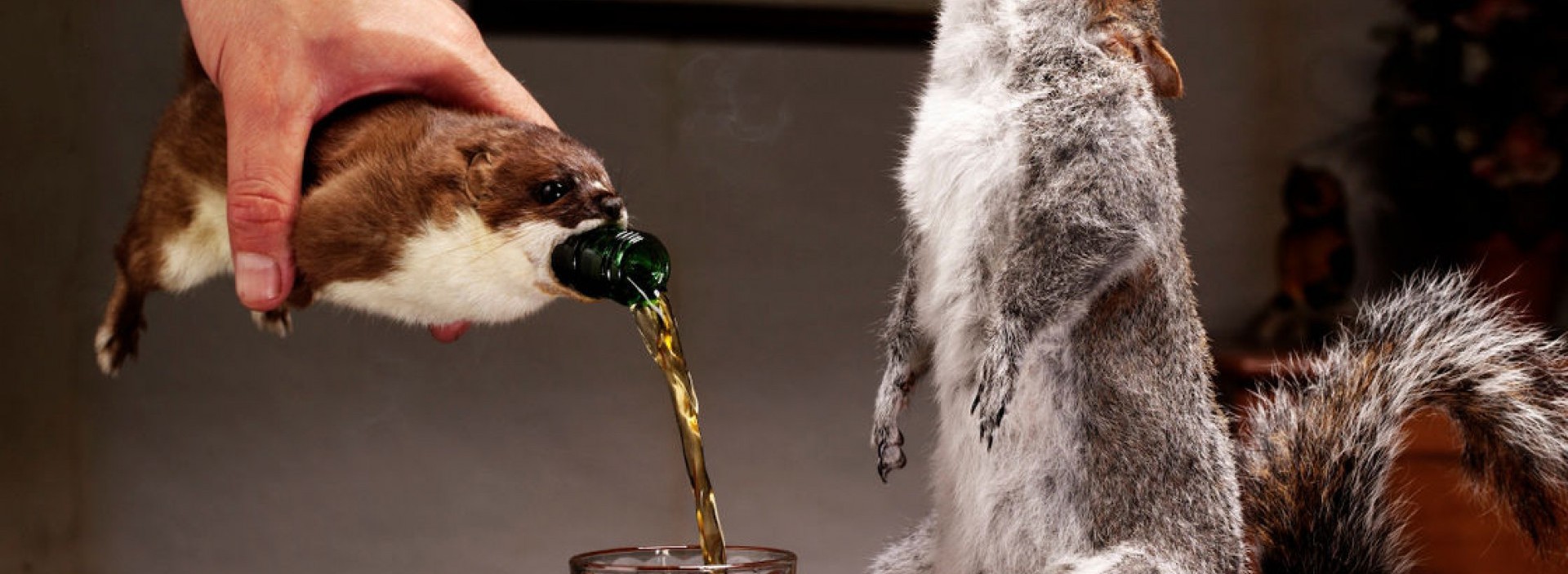 Alvo do movimento em defesa dos animais, com toda razão, a cerveja escocesa Brewdog end of history vem com a garrafa encoberta por animais empalhados. Garrafa custa 500 libras.   (Foto: Divulgação)