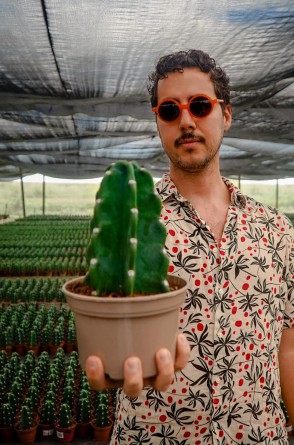 Thomas Reeves: mercado de plantas em expansão