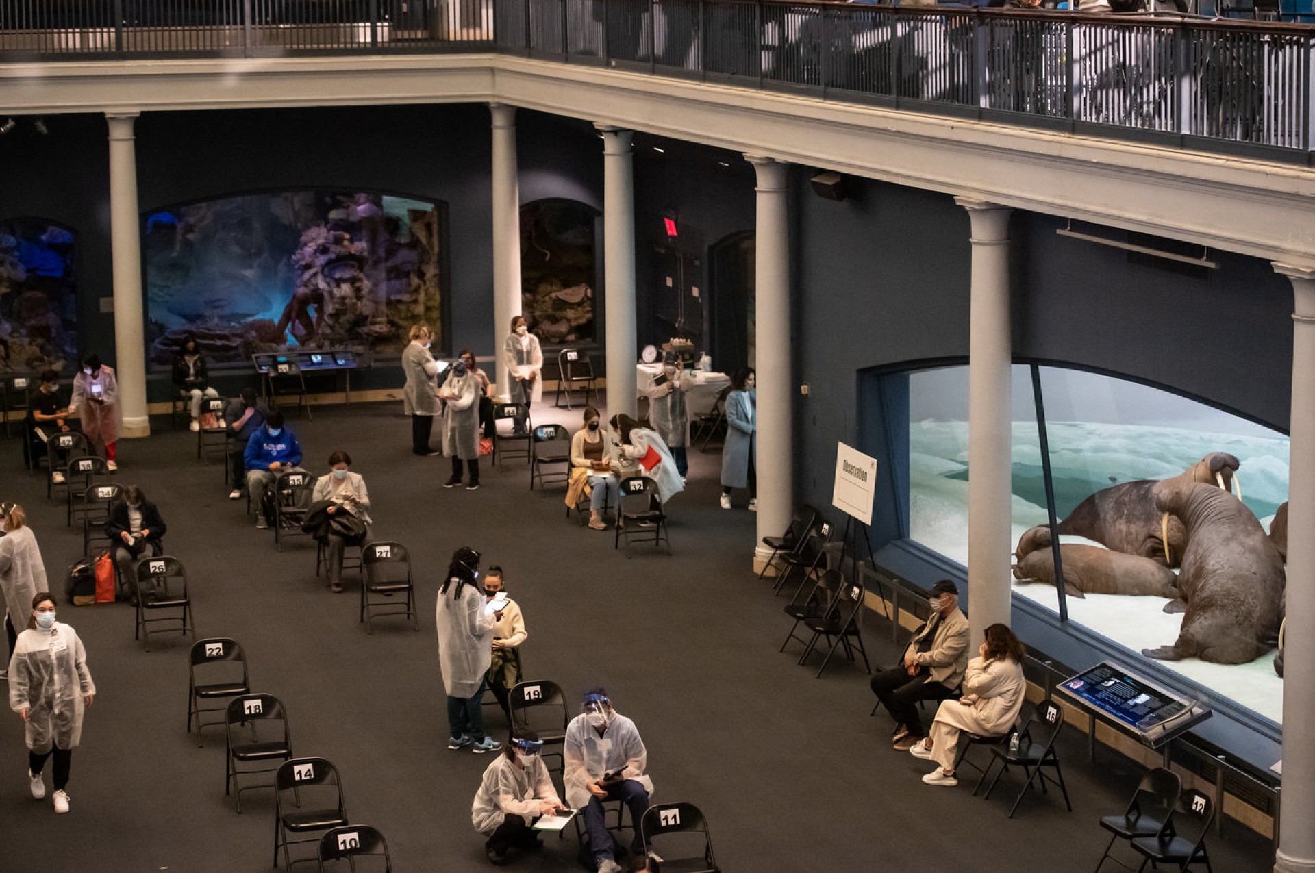 American Museum of Natural History (AMNH), em Nova York, um dos pontos de vacinação da Big Apple (Foto: ANGELA WEISS / AFP)