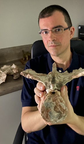 Perto do Motel Paraíso, paleontólogos encontraram 3 vértebras caudais e uma cintura pélvica parcial fossilizadas.