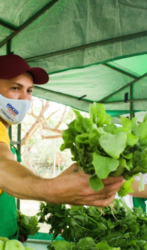 O destaque da primeira edição da Feira Agroecológica do Parque foram as hortaliças orgânicas, com preços até 50% mais baratos em relação ao encontrado em supermercados(foto: Fernanda Barros)