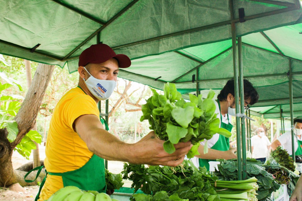 O destaque da primeira edição da Feira Agroecológica do Parque foram as hortaliças orgânicas, com preços até 50% mais baratos em relação ao encontrado em supermercados