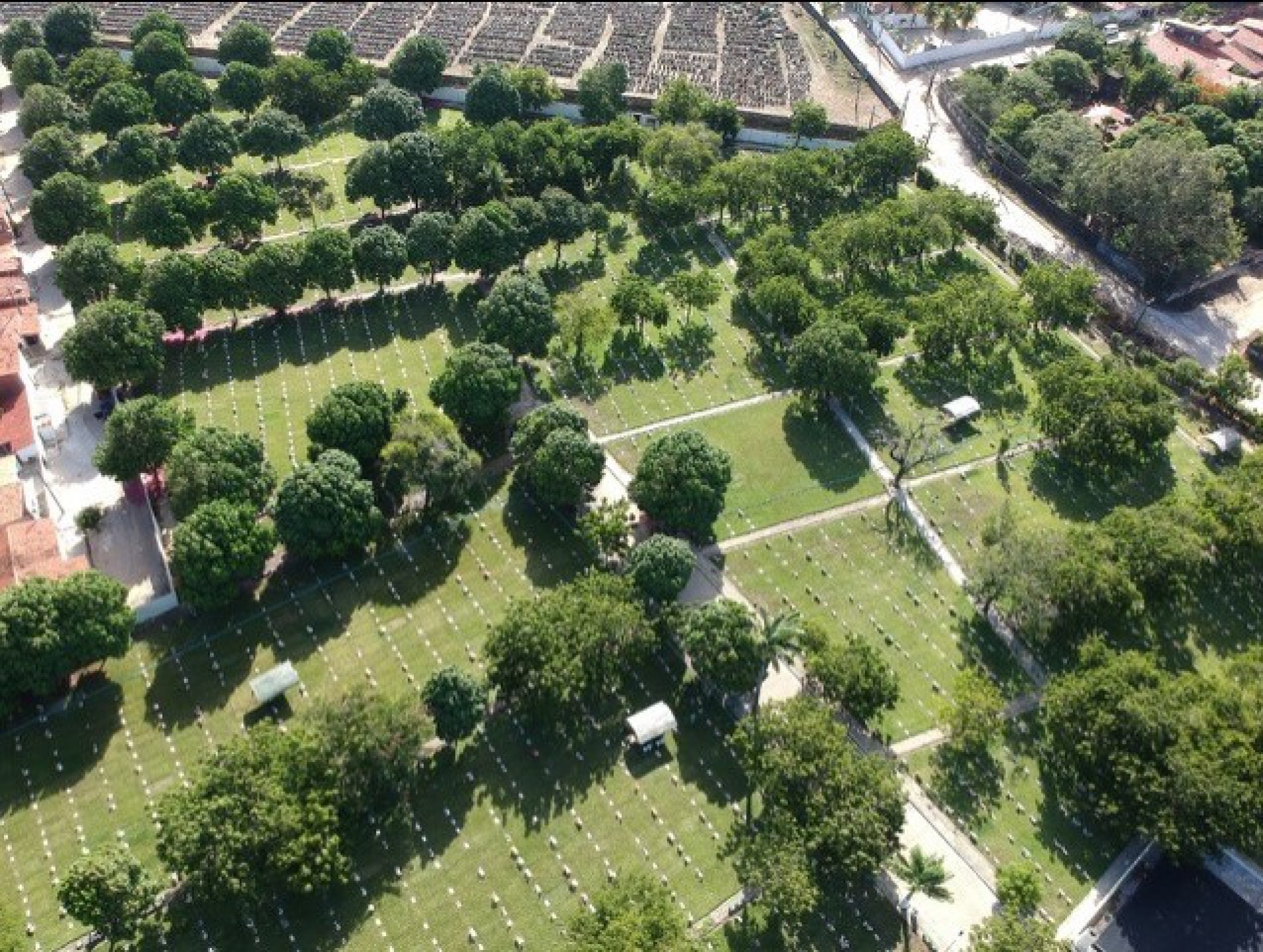 Parque da Paz completa 50 anos (Foto: DIVULGAÇÃO)