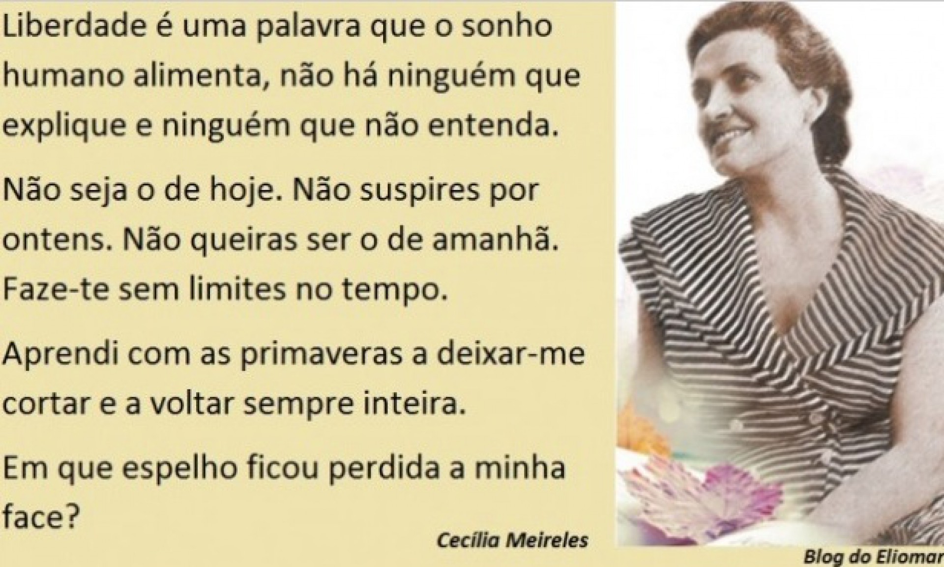 Rememória – 120 Anos de Cecília Meireles