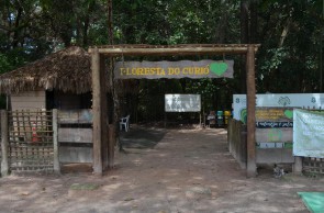 A Floresta do Curió conta com trilhas e outras atividades para públicos diversos