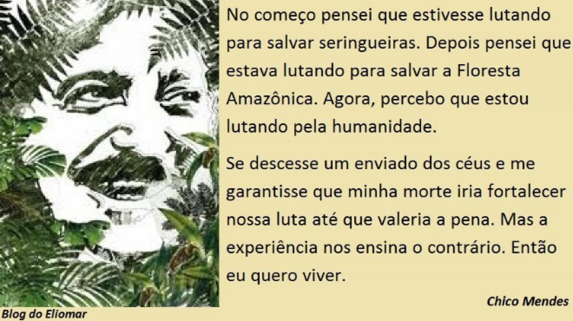 Chico Mendes: uma luta pelo meio ambiente e pela humanidade
