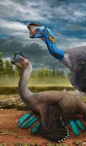 Adulto, o dinossauro teria alcançado 2 a 3 metros de comprimento. Ele provavelmente comeria plantas!