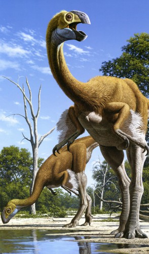 Ovirraptossauros eram dinossauros emplumados do Cretáceo, da Ásia e da América do Norte.