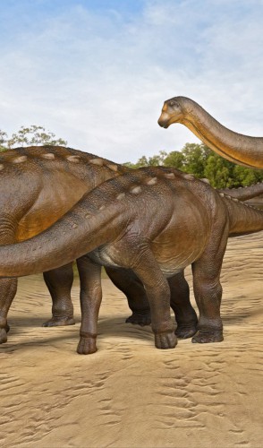 Um gênero desses dinos é dos <i>titanossauros</i>, com cerca de 10 espécies descritas no Brasil.