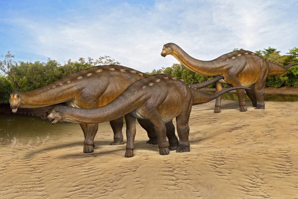 Foram escavados três indivíduos da mesma espécie de saurópode titanossauros no sudeste brasileiro.(Foto: Hugo Cafasso)