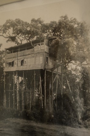 Esta foto de arquivo tirada em 10 de abril de 2021 no Treetops Lodge em Aberdare Narional Park em Nyeri mostra uma fotografia da casa na árvore original onde a rainha britânica Elizabeth II da Inglaterra passou a noite em que seu pai, o rei, morreu e ela se tornou rainha em 1952.(Foto: YASUYOSHI CHIBA / AFP)