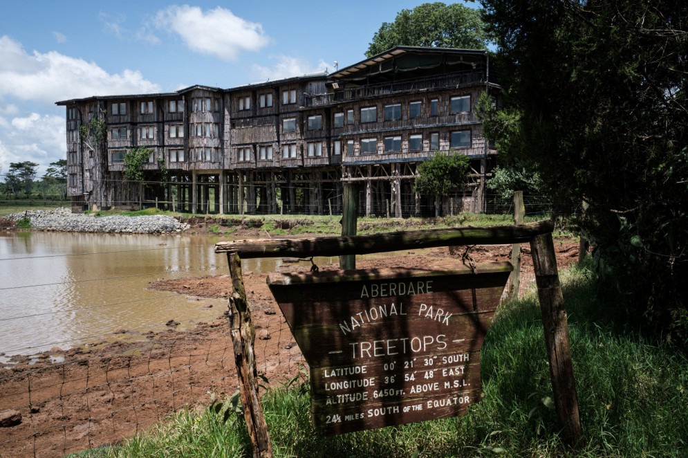 Nesta foto de arquivo tirada em 10 de abril de 2021, uma placa de madeira mostra o nome do Treetops Lodge, onde a rainha britânica Elizabeth II da Inglaterra passou a noite em que seu pai, o rei, morreu e se tornou rainha em 1952, em Aberdare Narional Park em Nyeri, Quênia(Foto: YASUYOSHI CHIBA / AFP)
