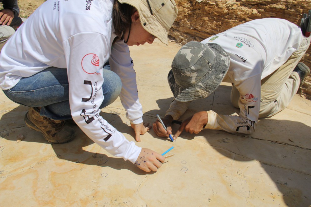 Paleontólogos trabalhando em sítio fossilífero do Cretáceo em Nova Olinda, Ceará.(Foto: Renan Bantim/ Divulgação)