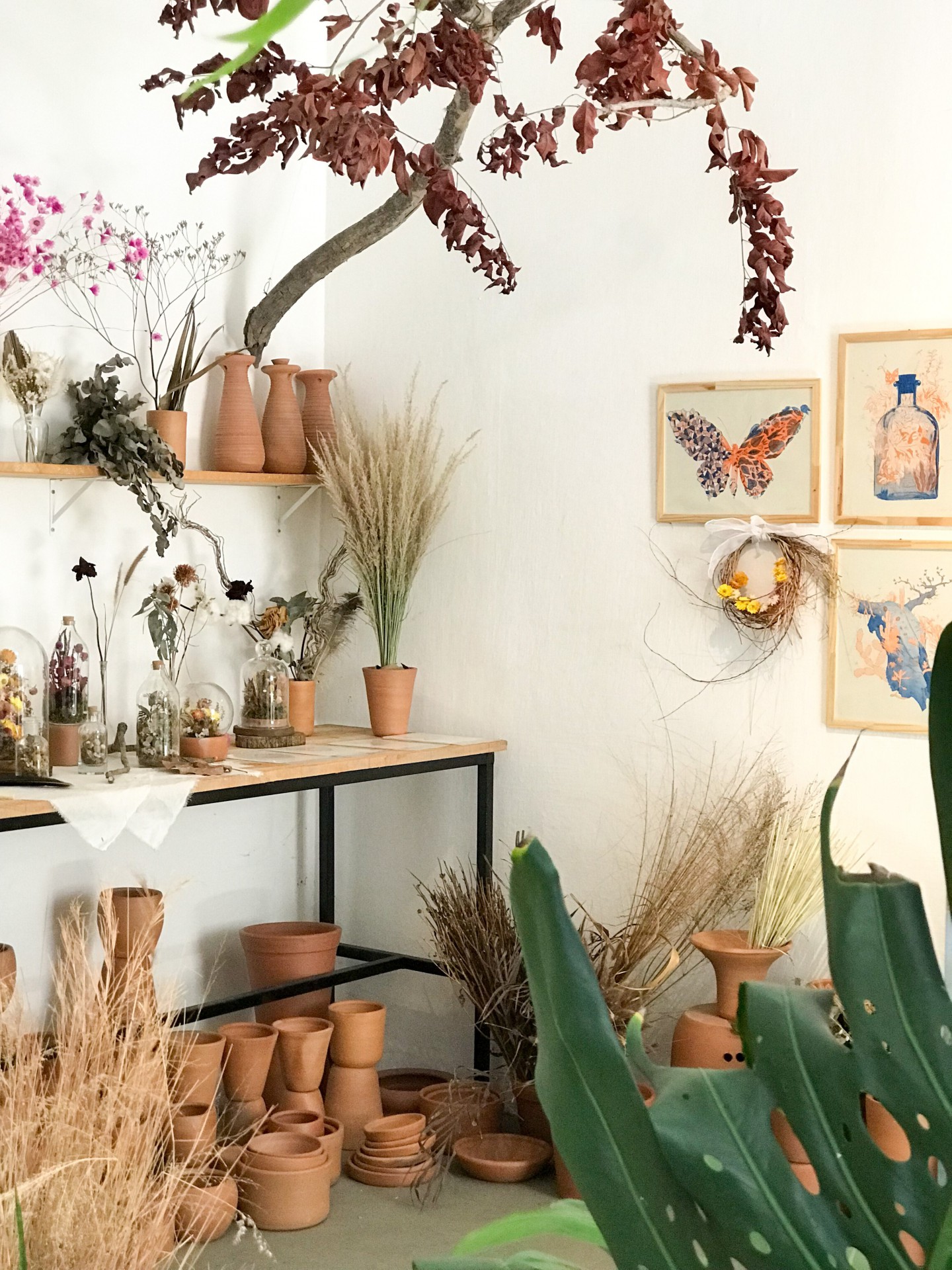 Seu Flor tem um ateliê que vende insumos, plantas e cursos (Foto: Igor Cavalcante/ Seu Flor)