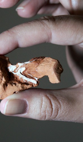 Também ajudou muito a descoberta de outro fóssil na mesma formação, um crânio incompleto.