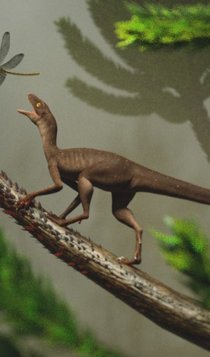 A pesquisa também identificou que ambos são de um grupo-irmão aos dos pterossauros, os lagerpetídeos.