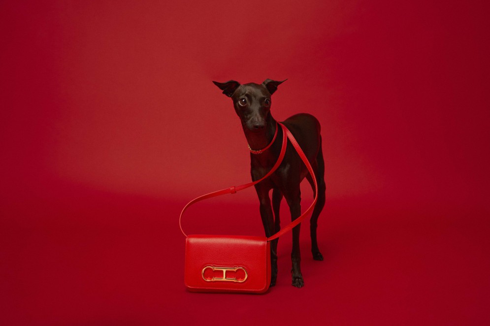 Campanha de Carolina Herrera traz versões mini de suas famosas bolsas com animais de estimação da equipe da grife(Foto: divulgação)