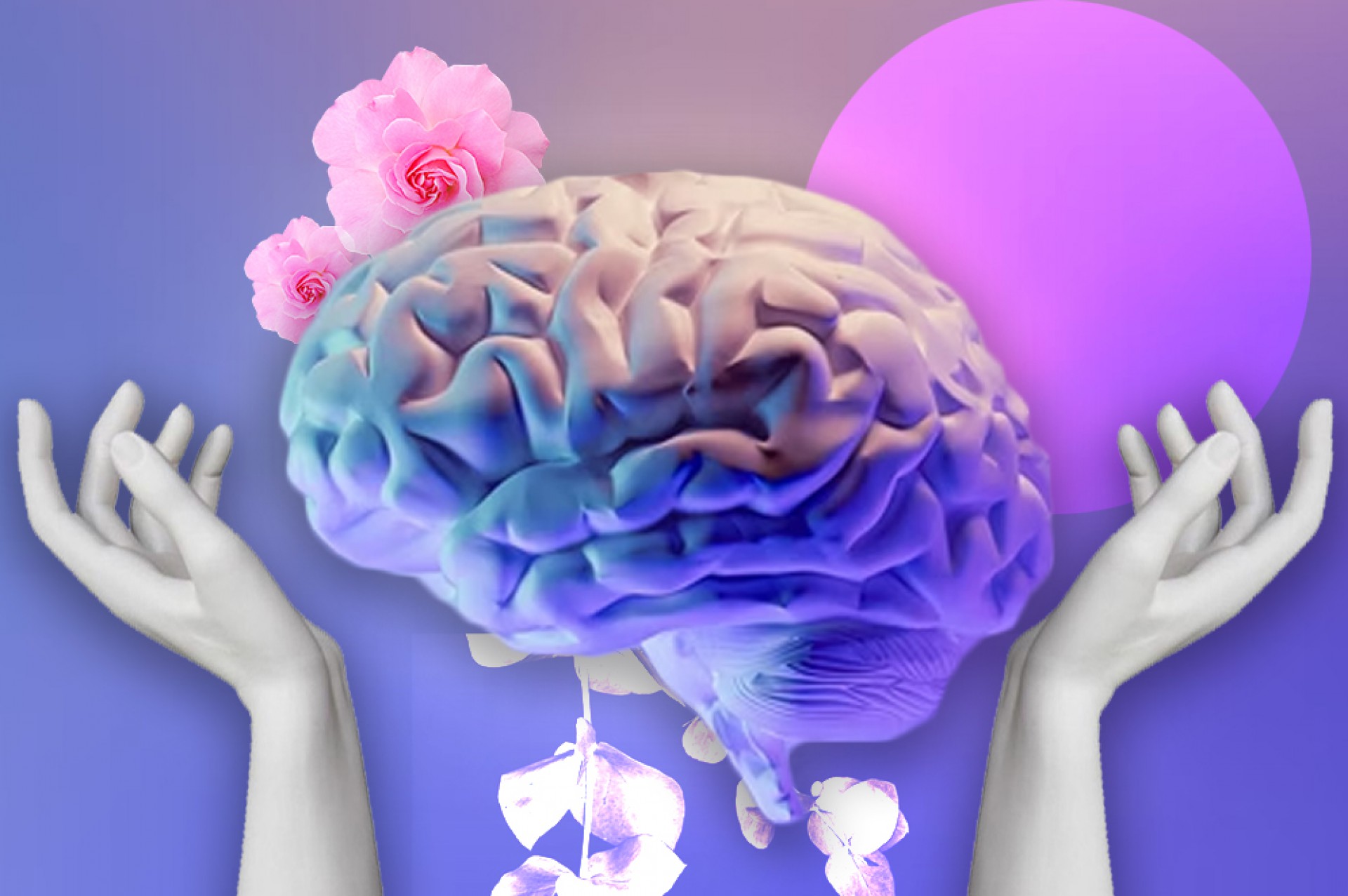 O que precisamos para equilibrar a vida (Foto: Isac Bernardo)