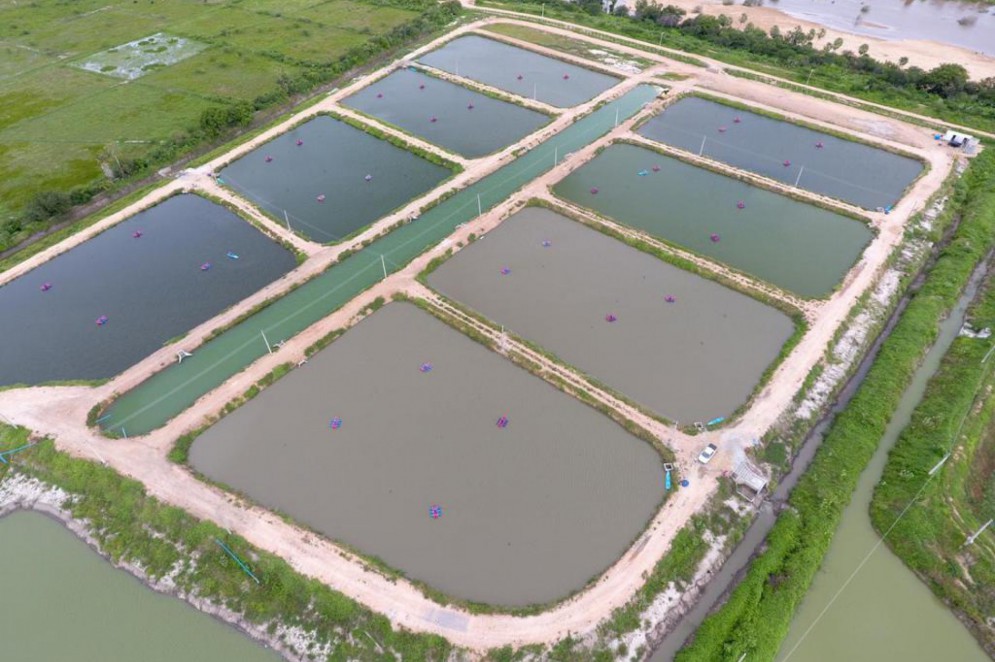 Carcinicultura em Morada Nova(Foto: Ítalo Rocha/Divulgação)