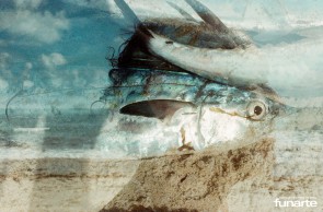 A artista visual carioca Raquel Gandra lança nesta sexta-feira, 15, um livro digital com um ensaio fotográfico poético e documental sobre a praia de Canoa Quebrada